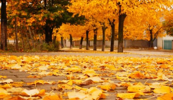 Ky është parashikimi i motit për të martën 