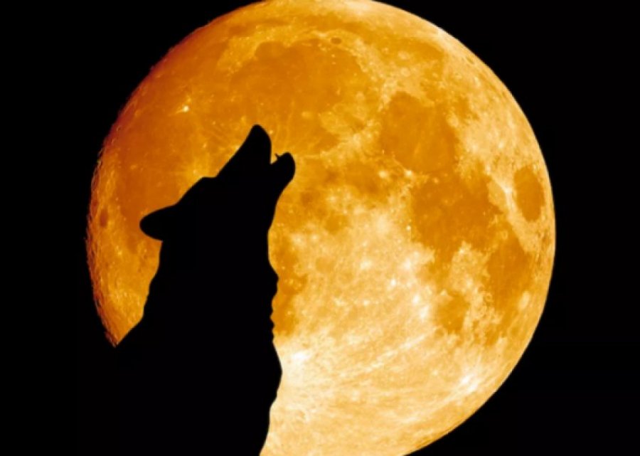 Kush e zbuloj një shpellë në Hënë?